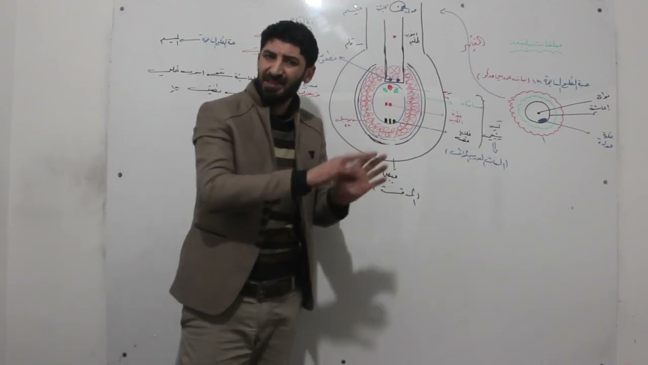 مغلفات البذور 2