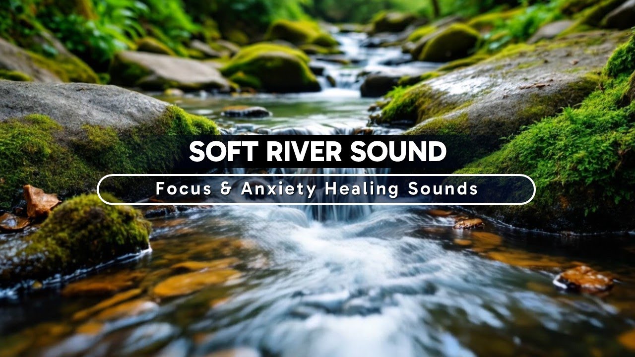 Soothing Stream Sounds - Soft Flowing River for a Peaceful Sleep Environment - ASMR Nature Sounds