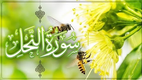 تلاوة خاشعة لما تيسر من سورة النحل