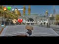 ياحبيبي ياعلي نبض قلبي ياعلي mp3