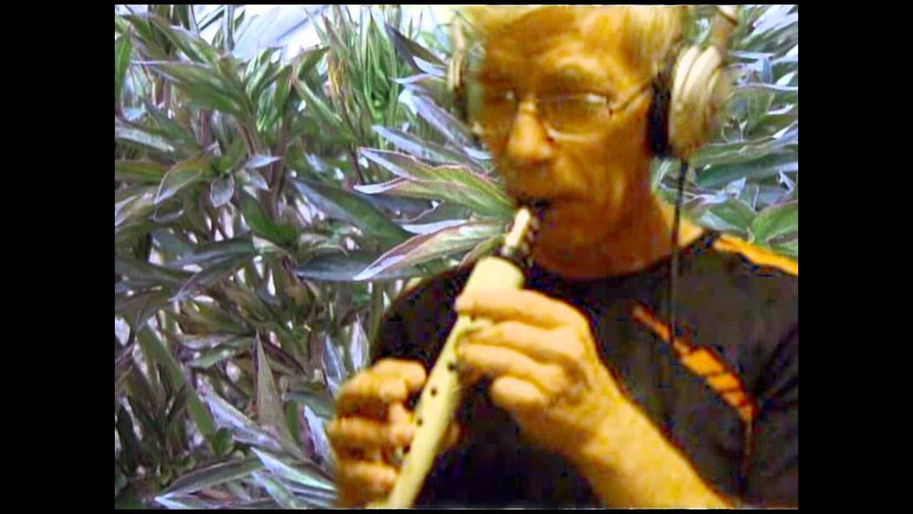 Xaphoon "What A Wonderful World" by G.Weiss & G.Douglas (instrumental