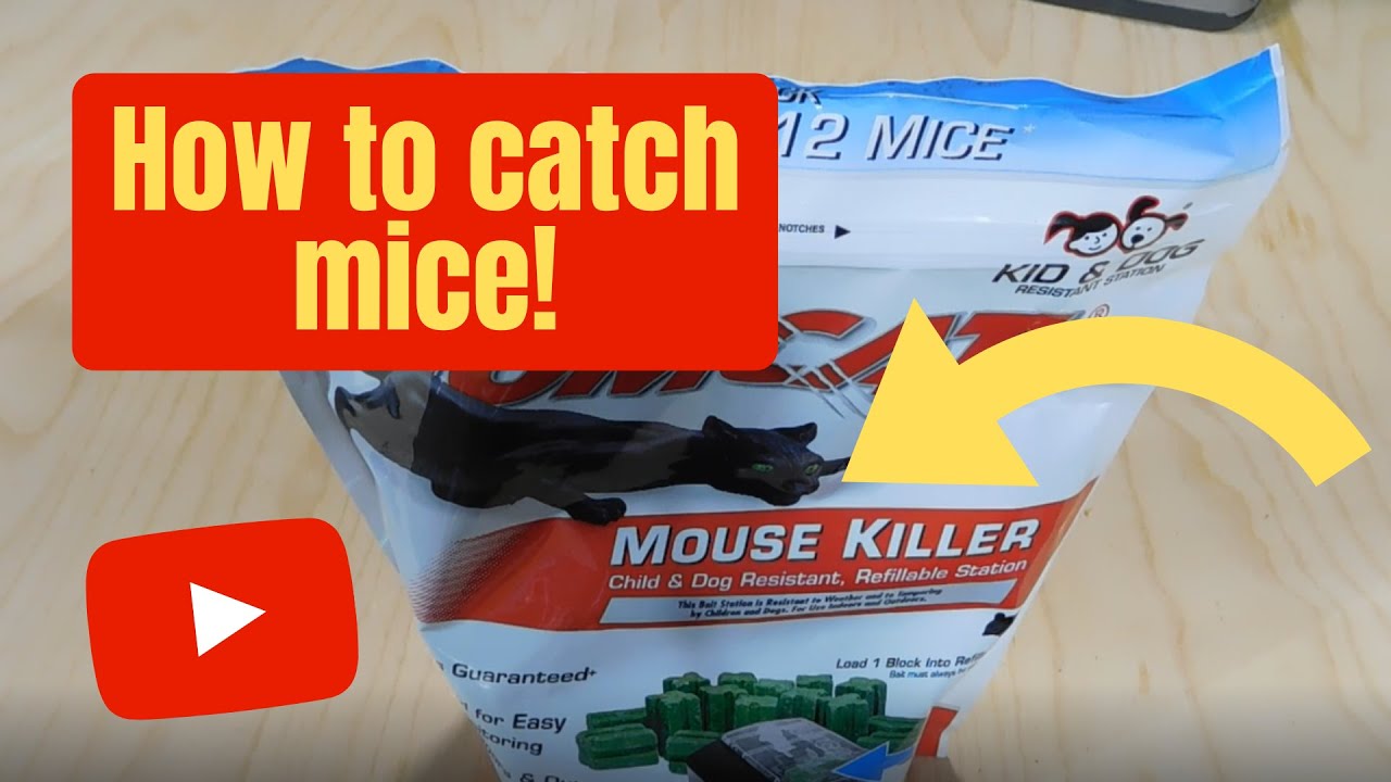 Tomcat Mouse Killer III Kid Resistant Refillable Station
