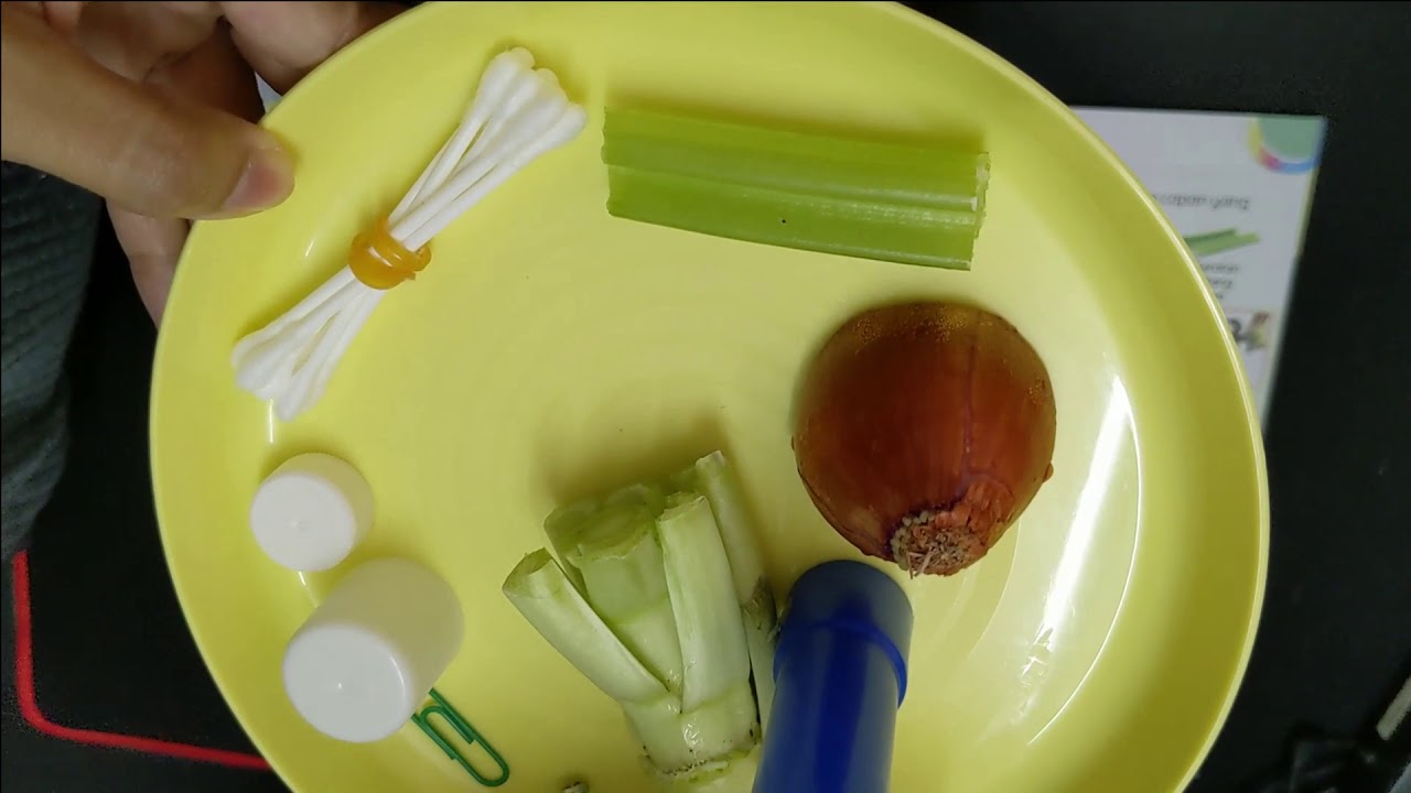 Aneka Capan Tahun 3 (Ustazah Fadiah)