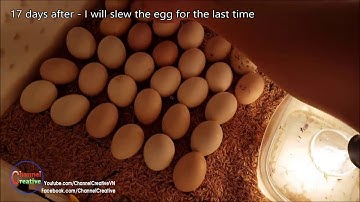 The Creative Process