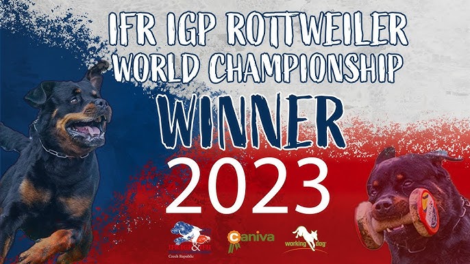 FCI Agility World Championship 2022