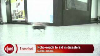 Loaded: Siri accessible on a locked phone