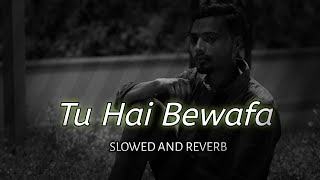 Tu Hai Bewafa || Slowed + Reverb Song || Aalm Guru || Bewafa Song