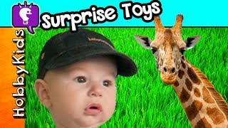 HobbyBaby ZOO Surprises and a Train Ride!