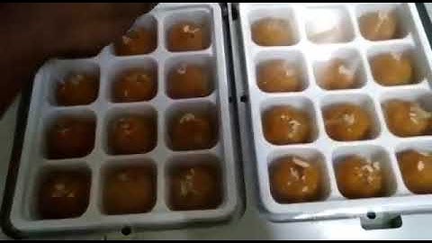 Powervac Shuttle Type Vacuum Tray Sealing Machine SGTS-550 #sealer With MAP (Gas+Sealing/Only Seal)