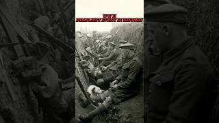 WW II The Deadliest Event In Human History #shorts #history #didyouknow #ww2 #army #military #short