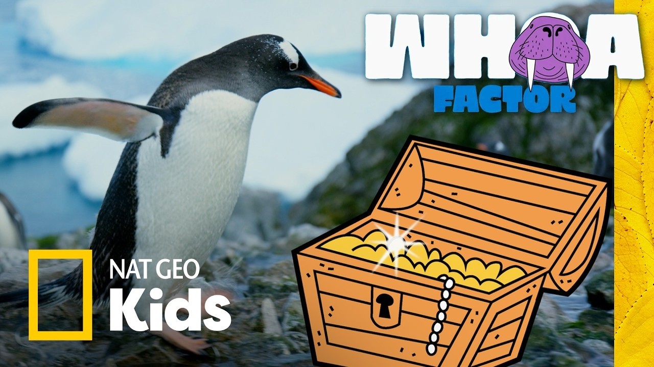 Latest Title & Thumbnail