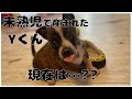 【保護犬】未熟児で足に障害もあり歩く事もままならない子犬Yくん...現在の姿は...??