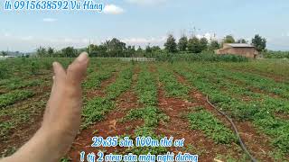 Đất ven Đà Lạt_29x35 sẵn 100m thổ cư view săn mây đồi núi giá 1 tỷ 200 triệu_0915638592 #lamha#dalat