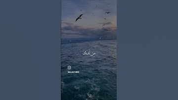رَبَّنَا لَا تُزِغْ قُلُوبَنَا بَعْدَ إِذْ هَدَيْتَنَا |سورة آل عمران |القارئ عبدالرحمن مسعد.