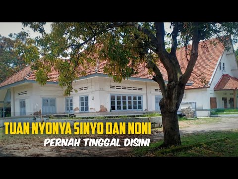 Video: Rumah Bata Triangular di Utara Holland oleh Baksvan Wengerden