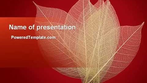 Red Dry Leaves PowerPoint Template by PoweredTemplate.com