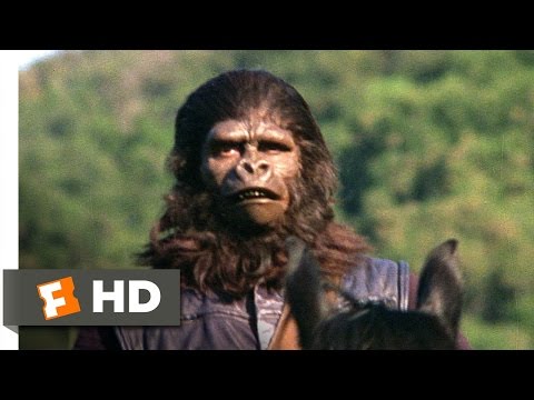 Planet of the Apes (1/5) Movie CLIP - The Human Hunt (1968) HD