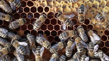 Spotlight on Design: Composite Materials--Advanced Materials and Lightweighting