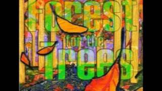 Forest For The Trees - Fall