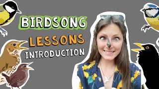 Birdsong Lessons with Lucy Lapwing  Learning British Birdsong INTRODUCTION