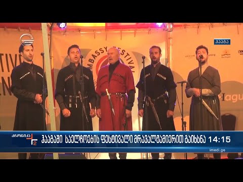 ჰააგაში საელჩოების ფესტივალი მრავალჟამიერით გაიხსნა