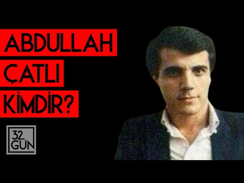 Video: Boraks gümüş balığı öldürür mü?