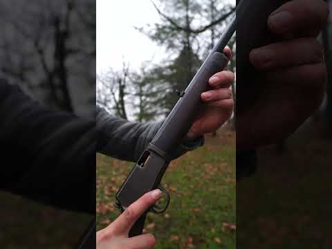 Winchester 1903 22 Auto