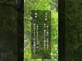 今は“答えを急がない”が正解 週間12星座別メッセージ #12星座占い #星座別メッセージ #占い