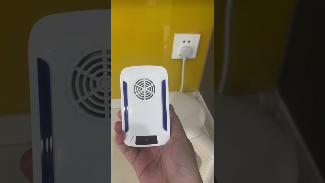 Try this ultrasonic pest repeller for effective solutions