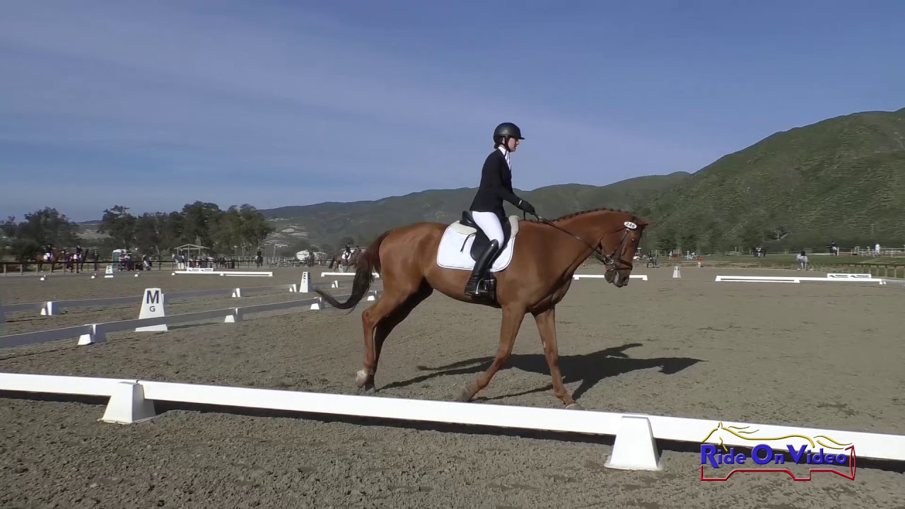 downs sims 246D Jenna Owens on Sweet Home Alabama Beginner Novice Rider Dressage Galway Downs March 2019