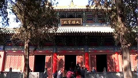 Africans learning Kung Fu at Shaolin Temple