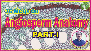 BOTANY 4U | RTMNU B. SC. SEM-III BOTANY-II UNIT-I | PITAMBAR HUMANE | Angiosperm Anatomy Part-I