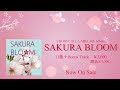 CROSS CALLレーベル・オムニバスCD「SAKURA　BLOOM」CM動画