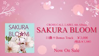 CROSS CALLレーベル・オムニバスCD「SAKURA　BLOOM」CM動画