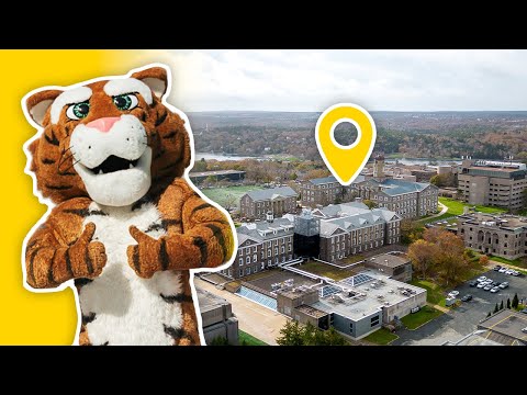 Inside Dalhousie University Halifax Campus Tour 