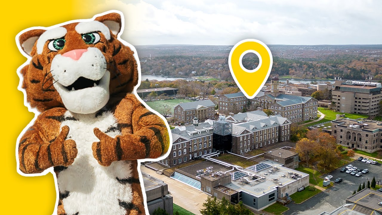Inside Dalhousie University: Halifax Campus Tour