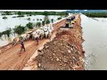 Demonstrating Power Remarkable Shantui bulldozer Effortlessly Spreads Soil for construction New Road