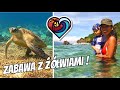 Wycieczka Bez Spiny na wyspę Apo, wspaniałe żółwie i rafy koralowe | Wyspa Apo | Filipiny | 4K