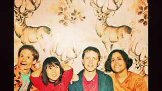 the deerhoof show