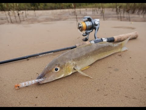 Whiting on Surface Lures