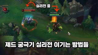 제드가 트페 골드카드 궁극기로 못 씹게 만드는 방법+상대법 [배치부터 챌까지 트페 vs 제드]