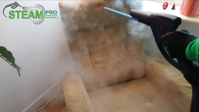 How to Clean a Fabric Sofa with a Steam Cleaner 