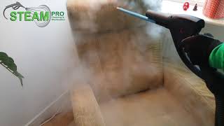 Steam cleaning a sofa before and after transformation