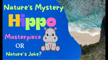 EP3. Nature mistery Hippo Masterpiece or Nature
