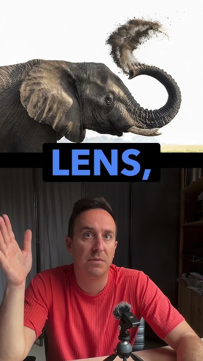 Best Sony Lens For Wildlife Photography Photography Tips For Beginners best-sony-lens-for-wildlife-photography-photography-tips-for-beginners