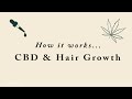 Does CBD help hair growth?