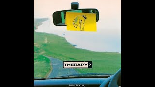 Therapy? - Disgracelands (new recording)
