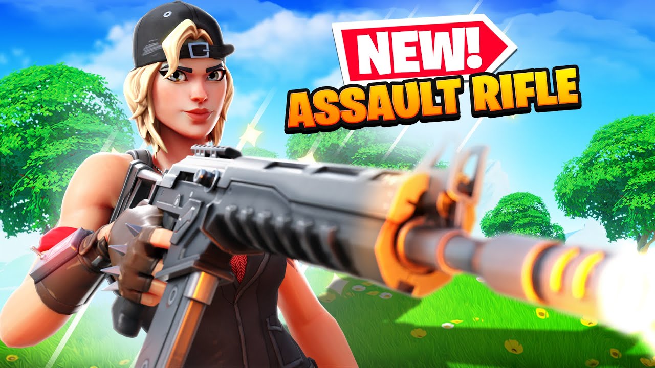 This is the BEST *NEW* Assault Rifle?! (Combat Assault Rifle)