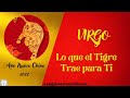virgo ♍ 🐯El Tigre Trae Esto Para Ti ➕ Ritual Año Nuevo Chino