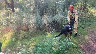 MANDEYE K-9
